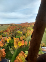 View from the basket in Fall